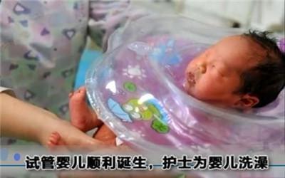单身试管供卵服务公司